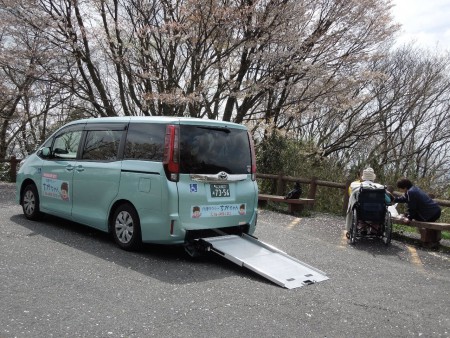 花見